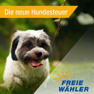 Achim: Die neue Hundesteuersatzung